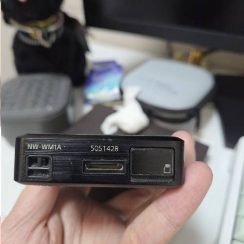 Sony wm1a 黑磚一代