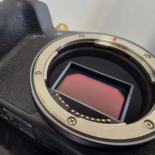 Canon R8 body