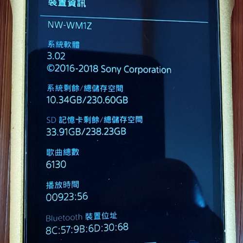 Sony WM1Z 金磚1代