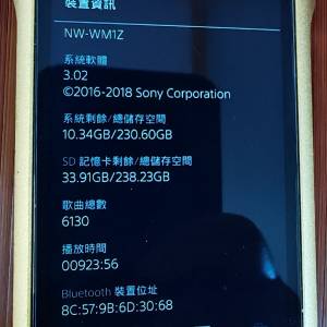 Sony WM1Z 金磚1代