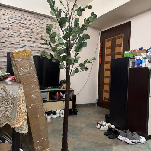假草，一比一燈