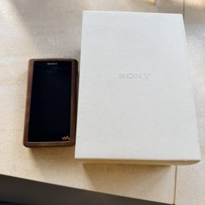 Sony 金磚2