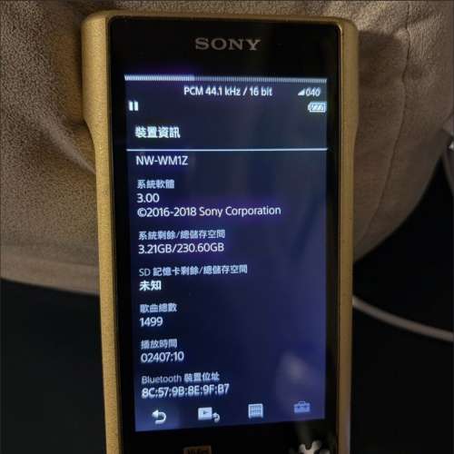 Sony WM1Z 金磚1代