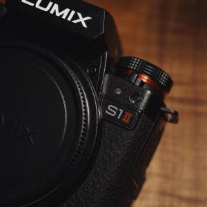 Panasonic Lumix S1 II