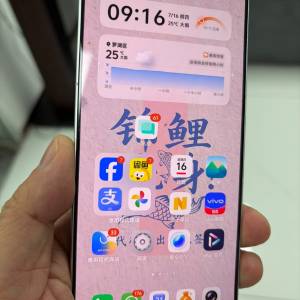 99%新 Vivo X300 Ultra 國行 16g+512g