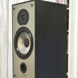Paradigm 5se mkⅡ 喇叭
