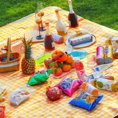 全新 黃色 野餐墊 Picnic Mat