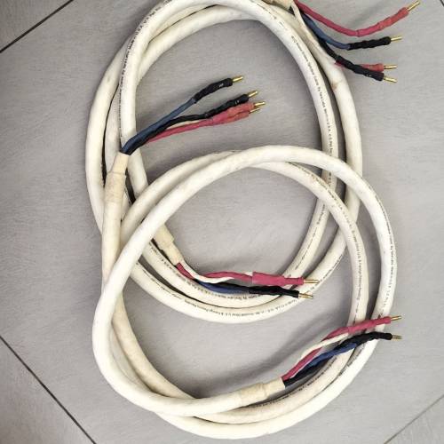 Speaker cable