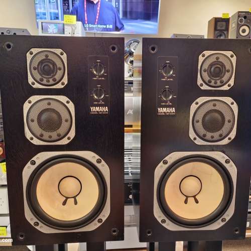 Yamaha NS-100M