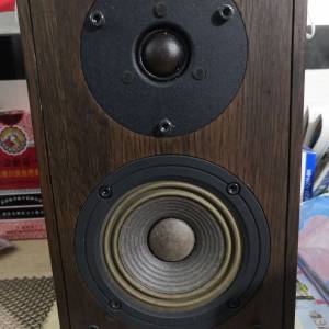 先鋒S-A4SPT-VP洒桶仔喇叭1對(100%全正常整體都OK/靚聲)