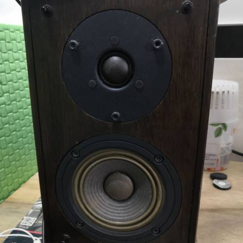 先鋒S-A4SPT-VP洒桶仔喇叭1對(100%全正常整體都OK/靚聲)