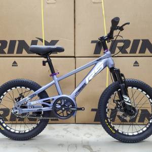 JTBEIER 途客 (紫) - 單速 碟剎 18吋 兒童山地車
