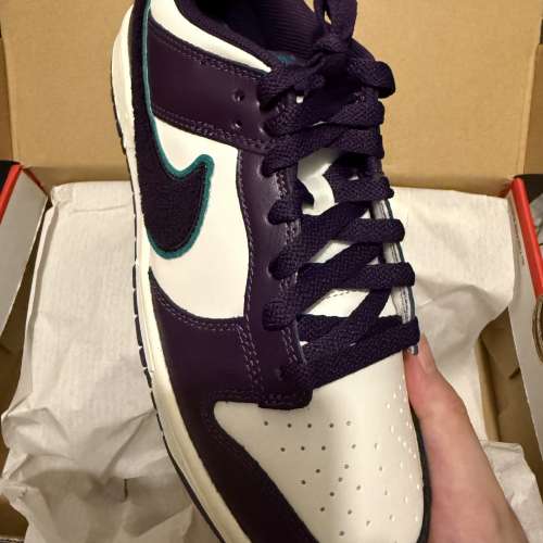 Nike Dunk Retro Chenille Swoosh 搖粒絨Swoosh 低幫dunk滑板鞋