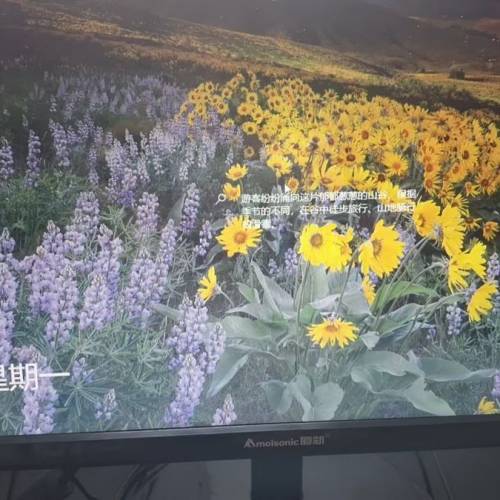 厦新19吋液晶顯示器
