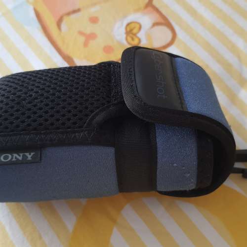 Sony DSC-P9 4.0 Mega Pixels
