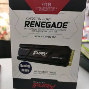Kingston FURY Renegade PCIe 4.0 NVMe M.2 SSD 4TB (SFYRD/4000G)