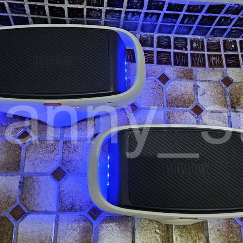 小米 Ninebot 米家 九號平衡輪 連原裝雙充電器 (適用於5至50歲體重小於80kg的人士...