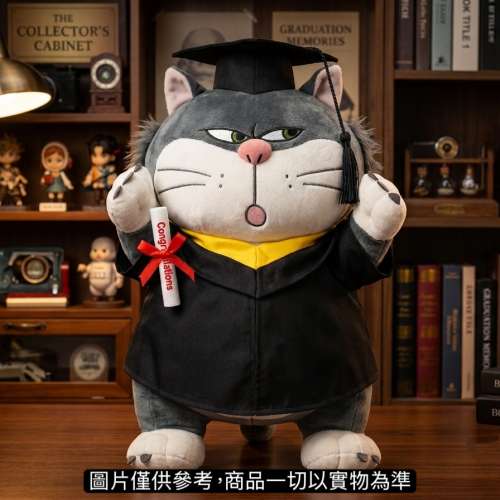 睇下文‼️ 台版絕版正版灰姑娘路西法畢業公仔 迪士尼反派畢業公仔 路西法貓畢業公...