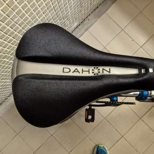 DAHON品牌靓單車