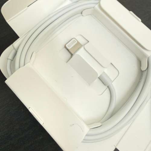 APPLE Ear pods (Lightning) 全新