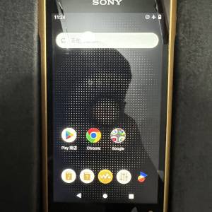 Sony WM1ZM2 金磚2