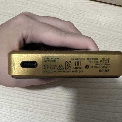 Sony WM1ZM2 金磚2