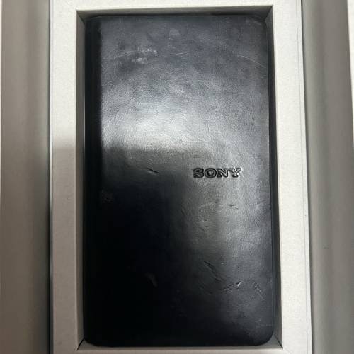 Sony WM1ZM2 金磚2