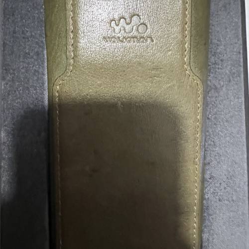 Sony WM1ZM2 金磚2