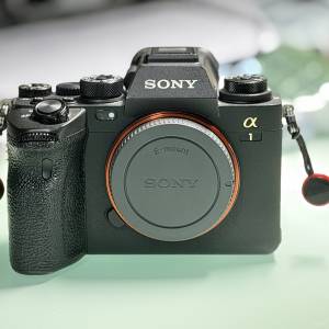Sony A1連原廠底座