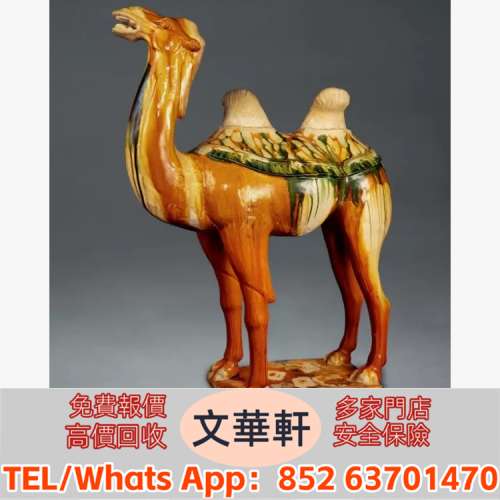 ♻️：唐　三彩雙峰駱駝 瓷器，花尊，花瓶，碗，蓋杯，賞碟，瓷板畫，插屏，鼻煙壺...
