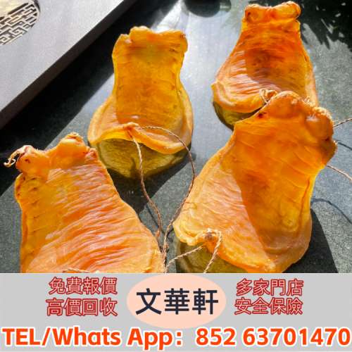 ♻️：花膠 紅雞赤嘴，陽江赤嘴，北海膠，赤嘴鰵魚膠，花膠，赤嘴花膠，舊花膠，老...