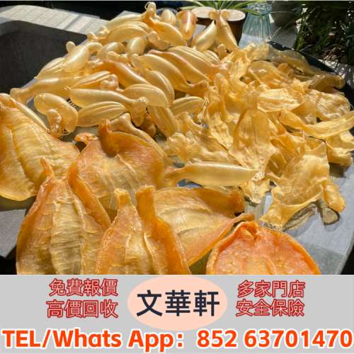 ♻️：老花膠，陳年花膠，老鬥湖魚膠，花膠大鬚金錢鳘魚膠，北海母，金錢膠，赤嘴膠...
