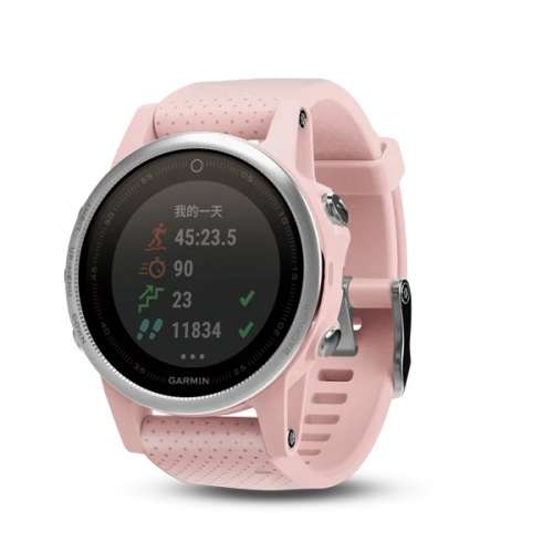 Fenix 5