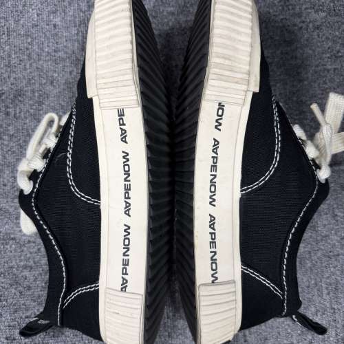 AAPE 帆布鞋US9 EUR 42.5 2手9成新