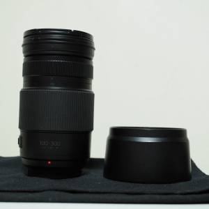 Panasonic 100-300mm ii