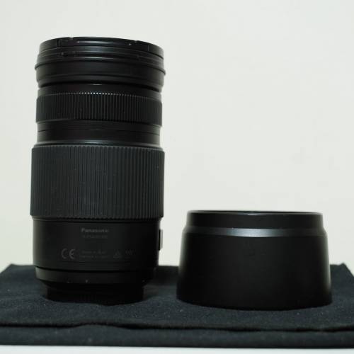 Panasonic 100-300mm ii
