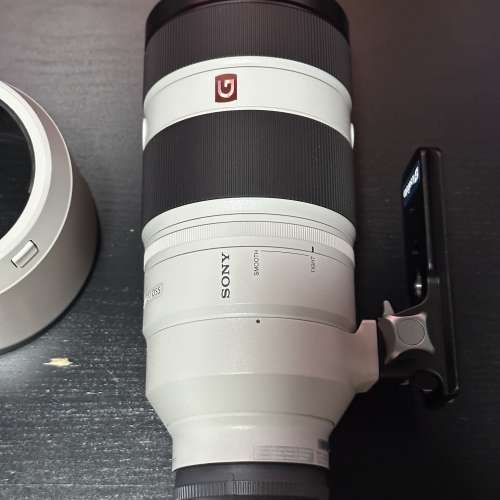 Sony 100-400GM f4.5-5.6