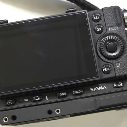 Sigma FPL 已改反mon 連hg21手柄+ mc21 ef-l for Canon Lumix