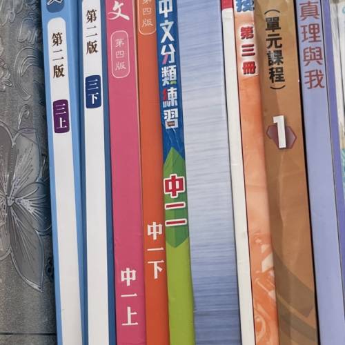 中學教科書 中文英文數學宗教科學地理電腦科技生物科