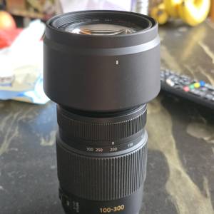 Panasonic M43 H-FS100300 100-300mm/F4.0~5.6