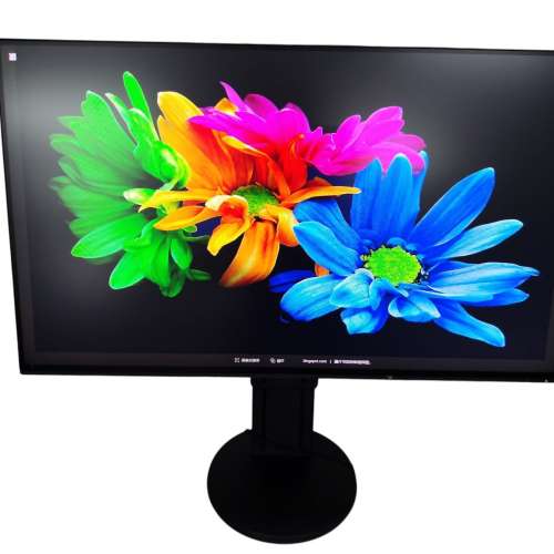 EIZO FlexScan EV2451 23.8" Black full HD Monitor 顯示器 可升降及旋轉