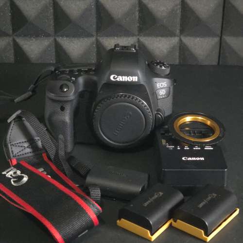 Canon 6D Mark II SC
