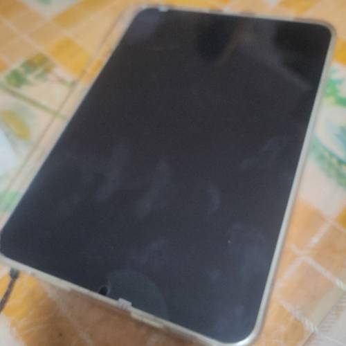 Ipad mini 6 64GB ios 18.7.2 過左保養