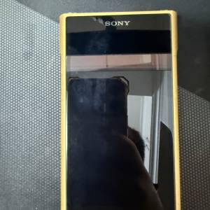 sony金磚2 NW-WM1ZM2
