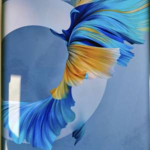 Huawei Mate 40 Pro
