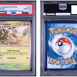 [PSA 10] 美版  Masterball 葉伊貝