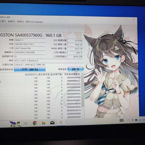 Kingston 960gb SSD