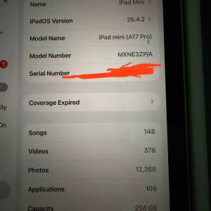 Apple iPad mini 7 256gb wifi紫色99%新