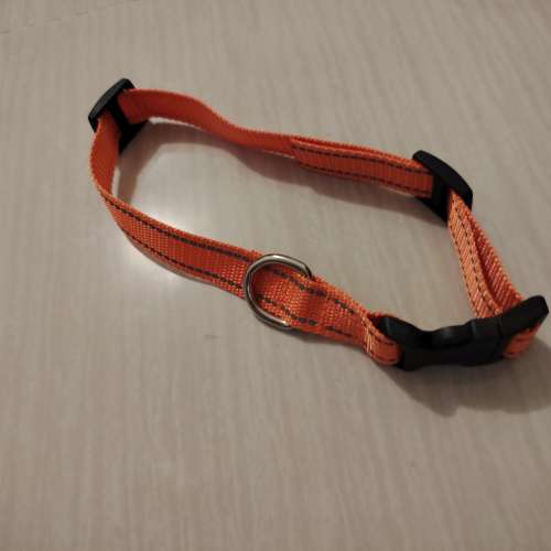 小型犬胸帶, 頸帶