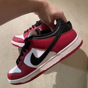Nike SB Dunk Low Chicago